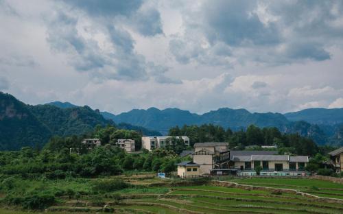 Wulingyuan Hotel | treehouse