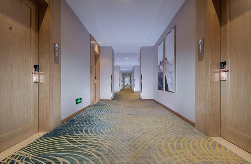 Qingcheng Qu Hotel | Vienna Hotel (Qingyuan Century Bar Shop in Guangdong Province)