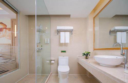 Chongqing Hotel | Vienna International Hotel Chongqing Yuanyangyuanboyuan