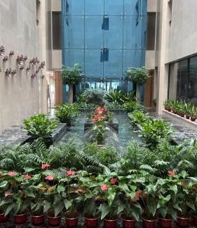 Siming Hotel | Vienna International Hotel