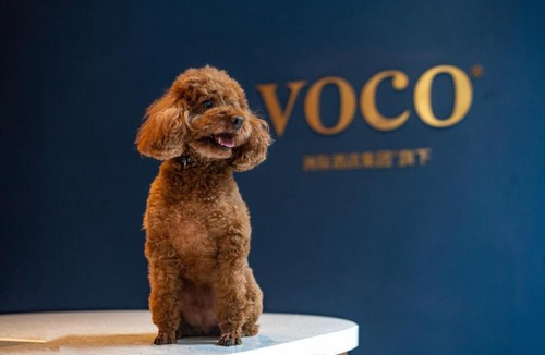Jiangning Hotel | voco Nanjing Garden Expo by IHG