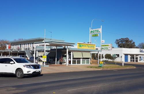 Cootamundra Hotel | Wattle Tree Motel