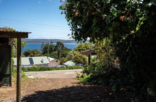 Albany House | Whispering Pines - a century old tale