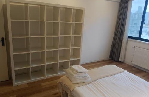 Huaihai Road Commercial Area Apartment | YanDang