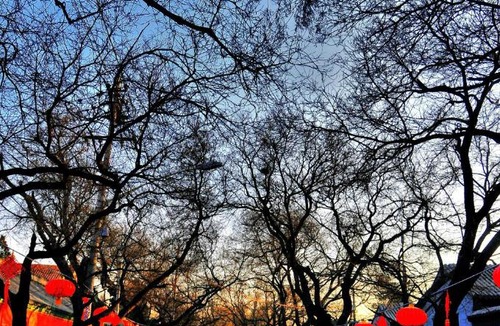 Beijing Hotel | YOBO Hotel - Near Beijing South Railway Station & Temple of Heaven Park