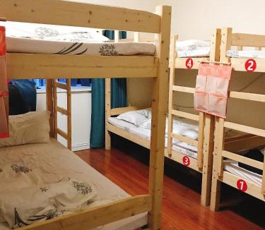 Pazhou Residential District Hostel | YoYo Youth Apartment