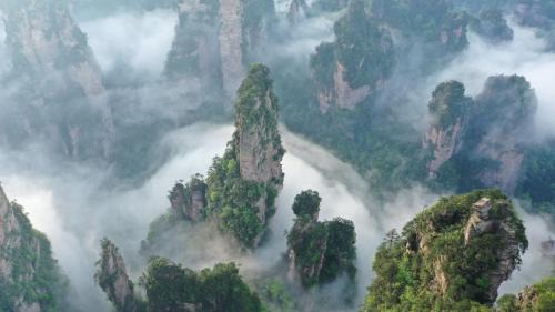 Wulingyuan House | Zhangjiajie J&M Hotel-New Hotel,Exclusive Location,Free Drop off Service to East Gate of forest park,Free Self-Service Laundry & Drying, Attraction Tickets Serivce in advance