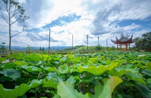 Yongding Hotel | Zhangjiajie Tianmen Manor View Hotel Hehua Airport Branch