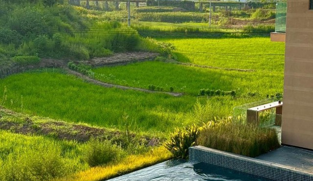 亦念亦忘民宿, Enjoying Countryside Scenery, Private Hot Spring, Chinese Cultural Experience, Family Farm Pick-up