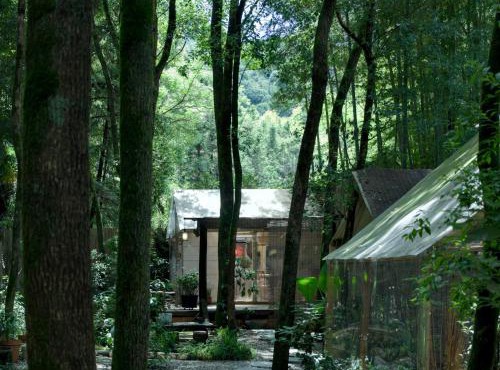 景德镇树园心舍民宿JDZ Forest Haven B&B