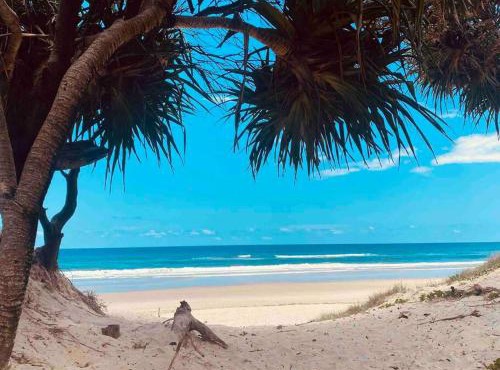20 Steps - Beachfront Home - Stunning & Stylish - North of Byron