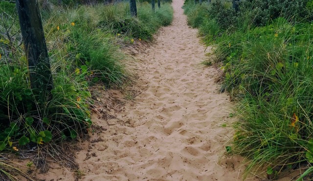 3 Min walk to the beach, this little slice of heaven is your perfect getaway!