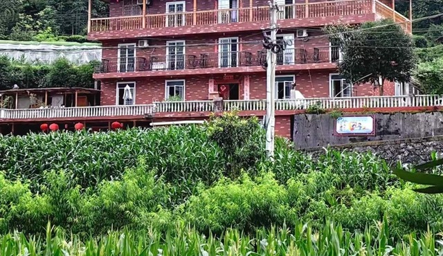 A lodge surrounded by forests, mountains and tea fields !