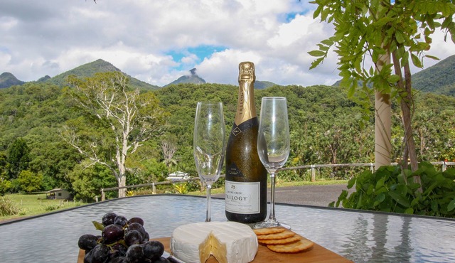 A View of Mt Warning B&B