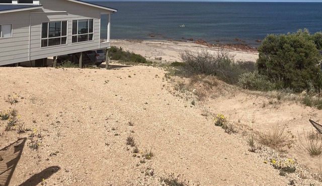 Absolute Beachfront