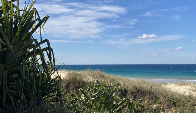 Absolute beachfront- Bush, Beach, Dogs, Relax!