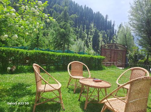 Al-Ayaan Guest House