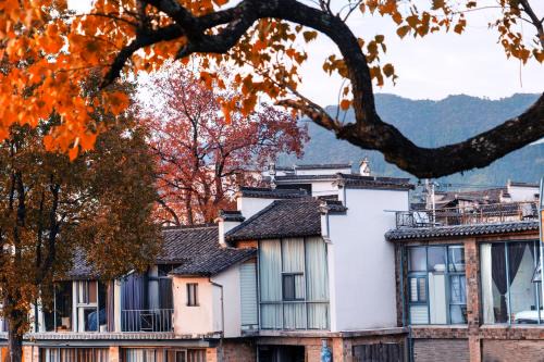 Alina Garden Boutique Resort - Huangshan Scenic Area