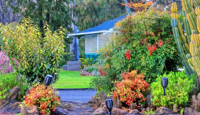 Azalea Motel