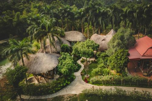 Bamboo Hill