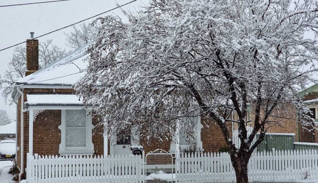 Birchfrost cottage | Quintessential cosy | Central Orange