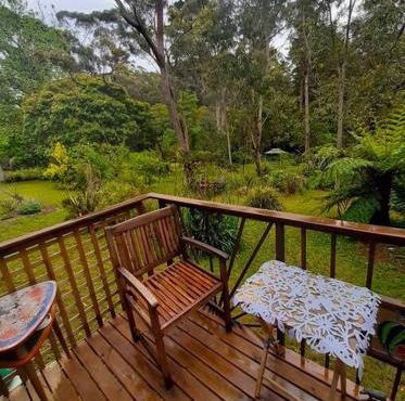 Blue Mountains Ferncreek Studio Retreat, pet friendly, birds and bush