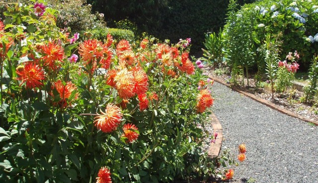 Boat Harbour Garden Cottages