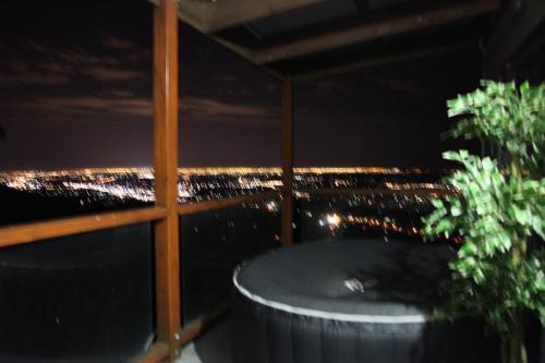 Bonza View