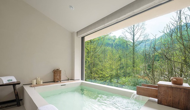 BuSu Forest Forever Hotel