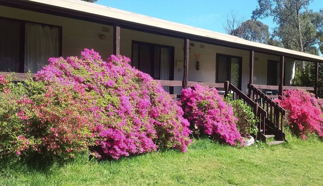 Cabin 4 - Emerald Park