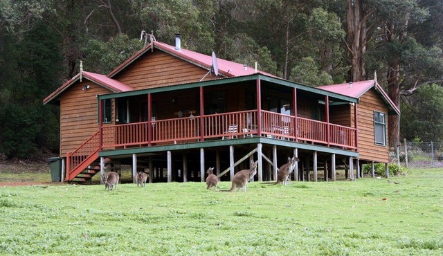 Cabins Nestled in 170 Acres of old Growth Forest Near the Valley of the Giants
