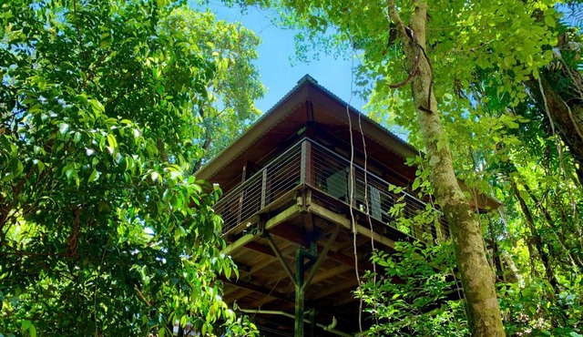 Cairns Rainforest Retreat
