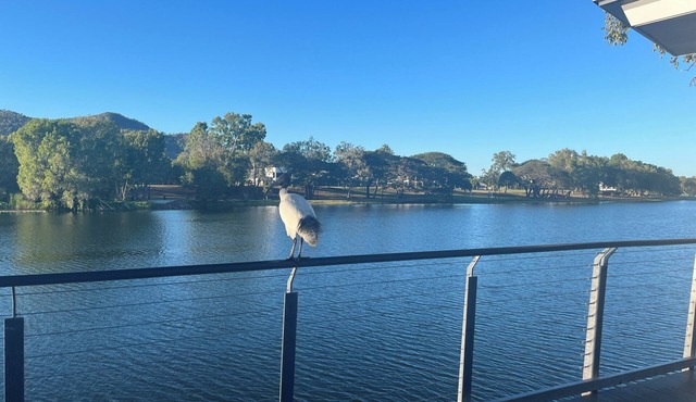Central Thuringowa willows Riverway & ross river naturist CO retreat