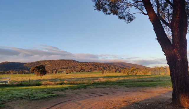 Charming country cottage, peaceful stay, family-friendly retreat, Glenrowan