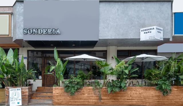 Chengdu Sonderia Hostel&Bar-Lazybones