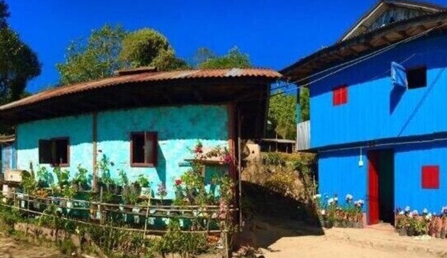 Chintapu Homestay Ilam, Sandakpur Nepal