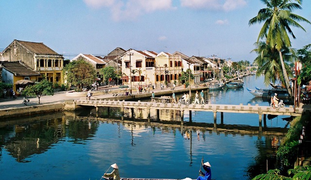 Cilantro Villa
