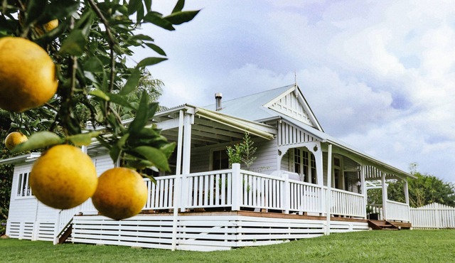 Circa a 1930s house set in Byron Bay Hinterlands