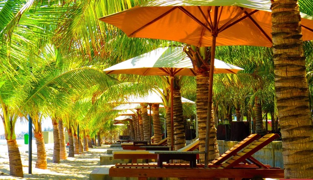 Con Ga Vang Resort