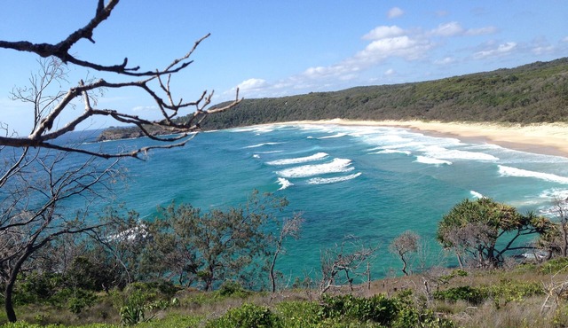 Cosy Studio walk to Whale beach