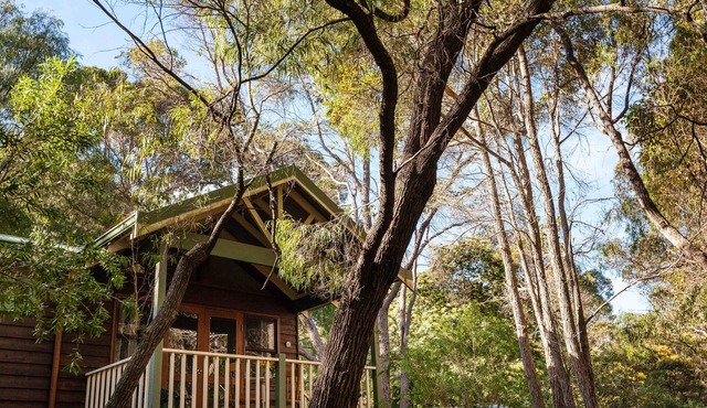 Cozy Studio Chalet perfect for couples and a veranda overlooking the bushland