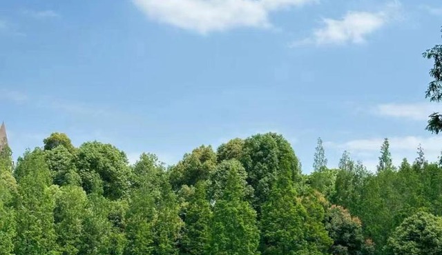 Crowne Plaza Chengdu Panda Garden by IHG