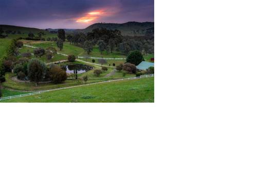 Daisy Hill Lodge