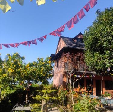 Depche Village Resort