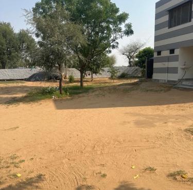 Dhankoli House
