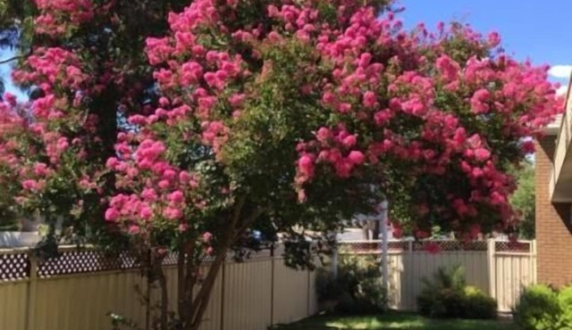 Eaglehawk Motel
