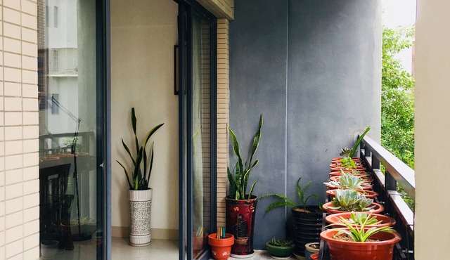 Ecological Natural Home