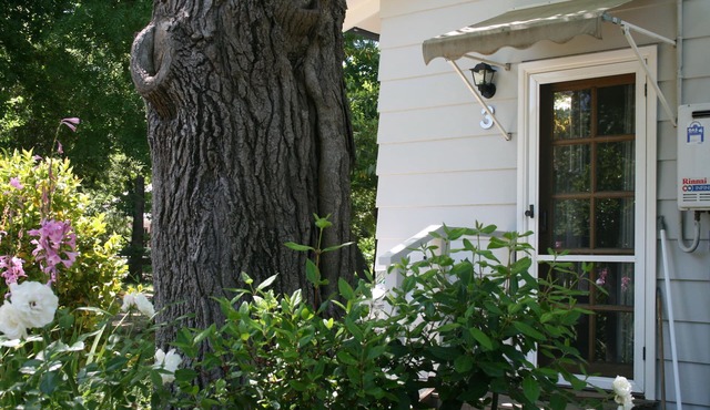 Elm Lodge