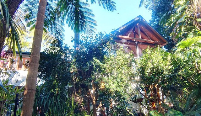 Forest Retreat 30 mins from Sydney CBD