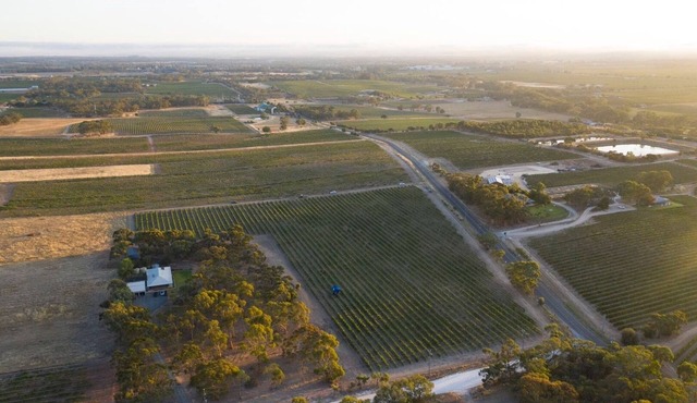 Furche Barossa 5 bed Stay: Vineyards and Fireplace